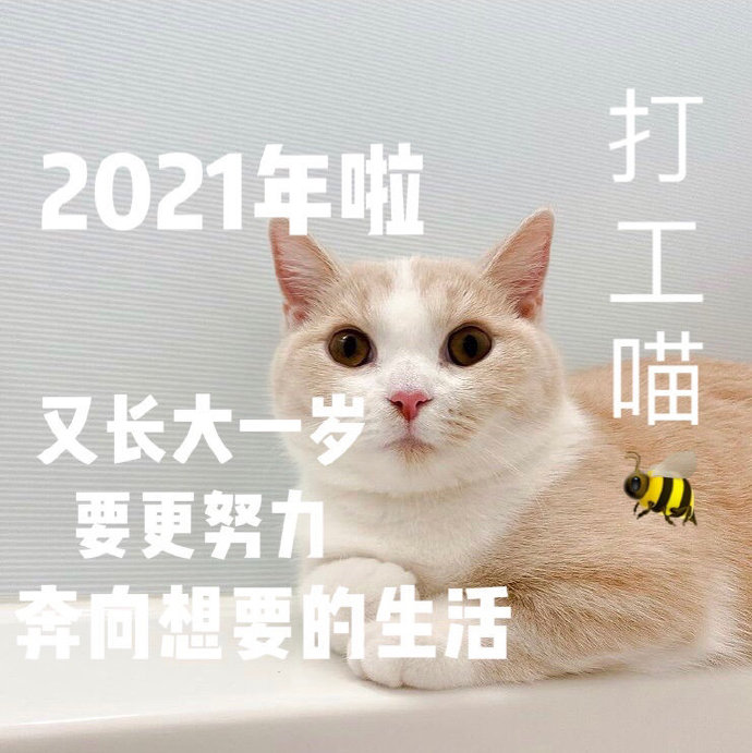 2021新一年的愿望祝愿微信表情包