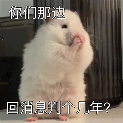 网上很流行的趣味表情包
