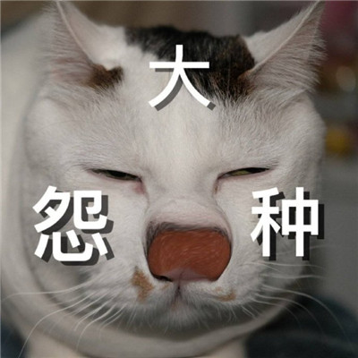 大怨种表情包合集