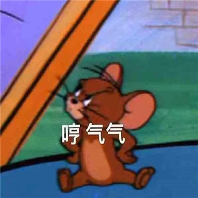 网络最火的表情合集