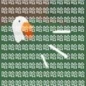 可爱暴躁的沙雕大鹅微信表情包