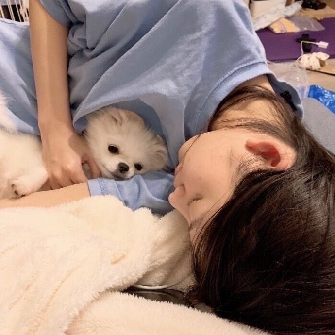 小动物与美女的个性微信头像