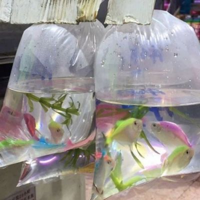 高级唯美感朋友圈背景图
