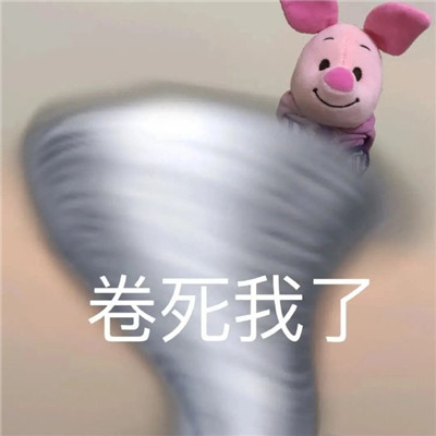 很逗比的搞笑表情