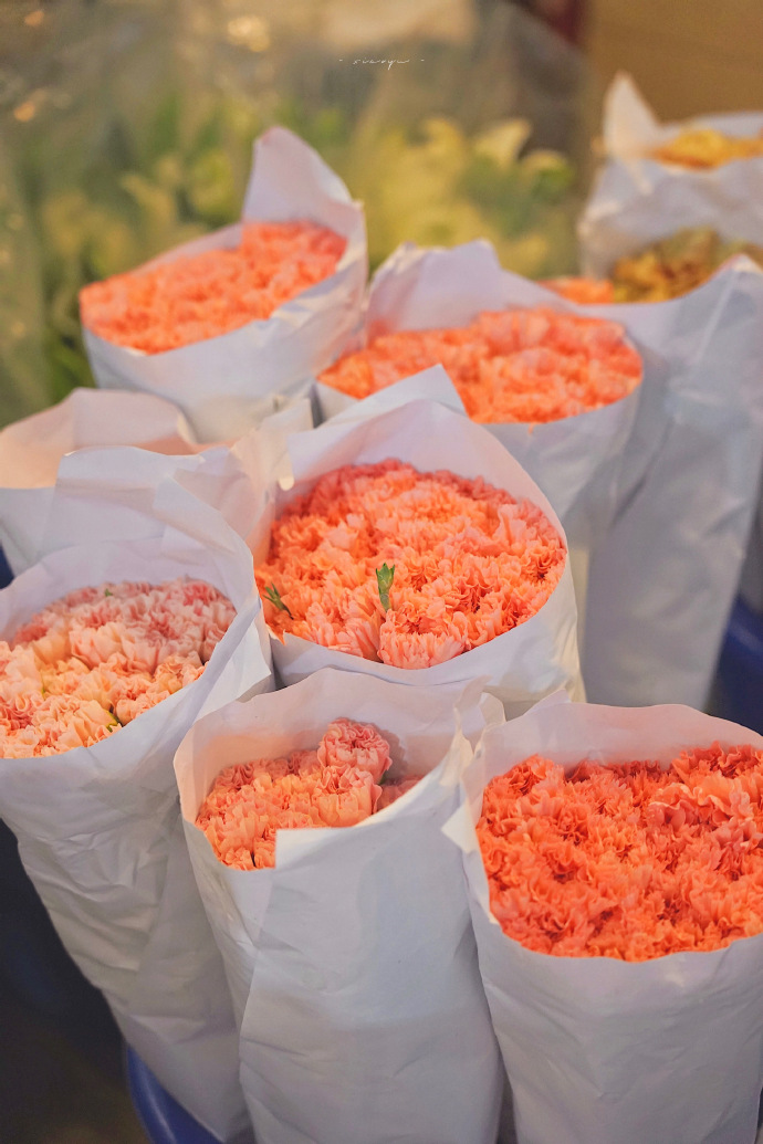 超美的鲜花个性微信头像