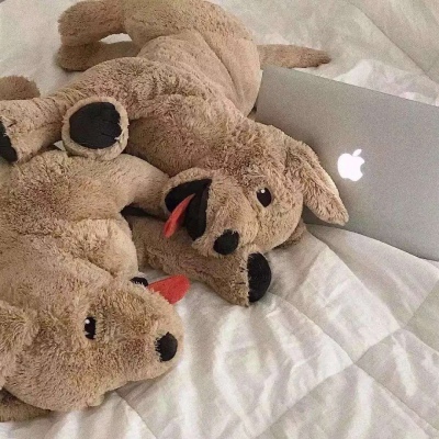 最新颖的搞怪微信头像