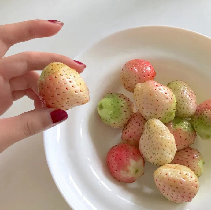 小众却很高级的微信朋友圈背景图