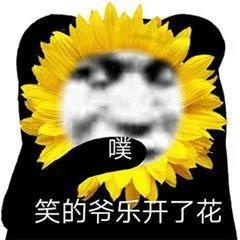 日常实用聊天微信表情包