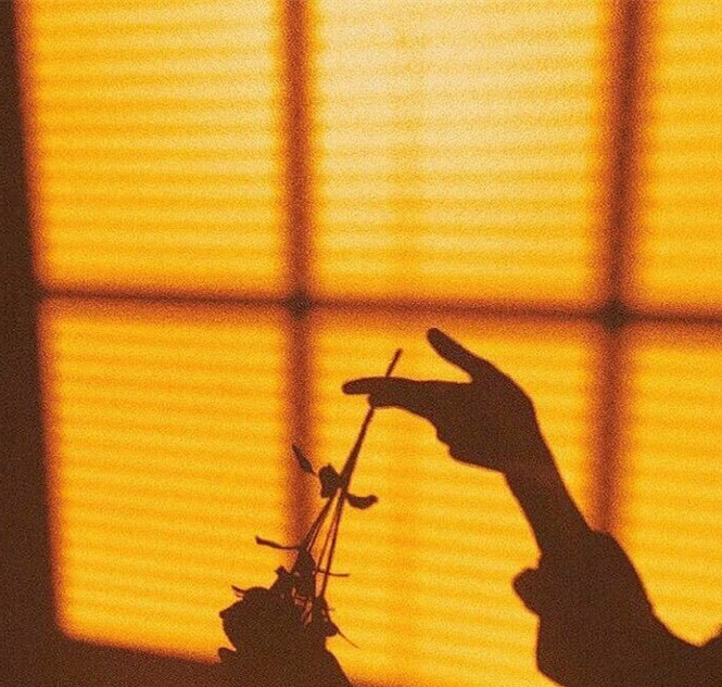 同色系唯美有意境的影子微信朋友圈背景图