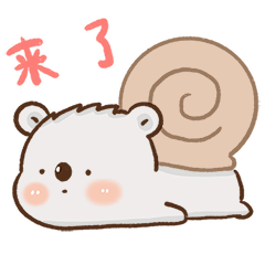 非常可爱的考拉小肉君微信表情包