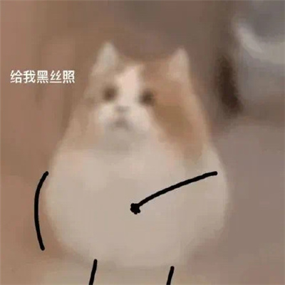 打劫小猫搞笑表情