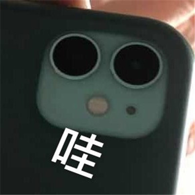 苹果后置相机奇怪又有趣的表情包