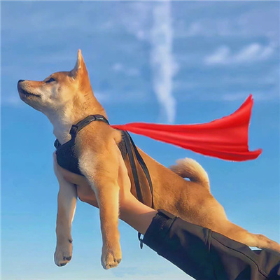 搞怪风趣味头像