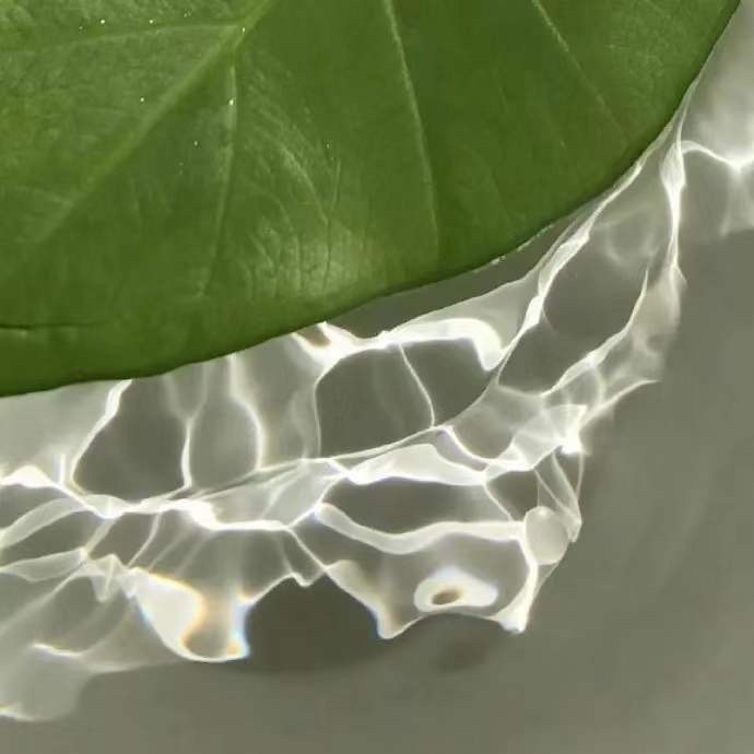 绿色系治愈小清新的微信背景图