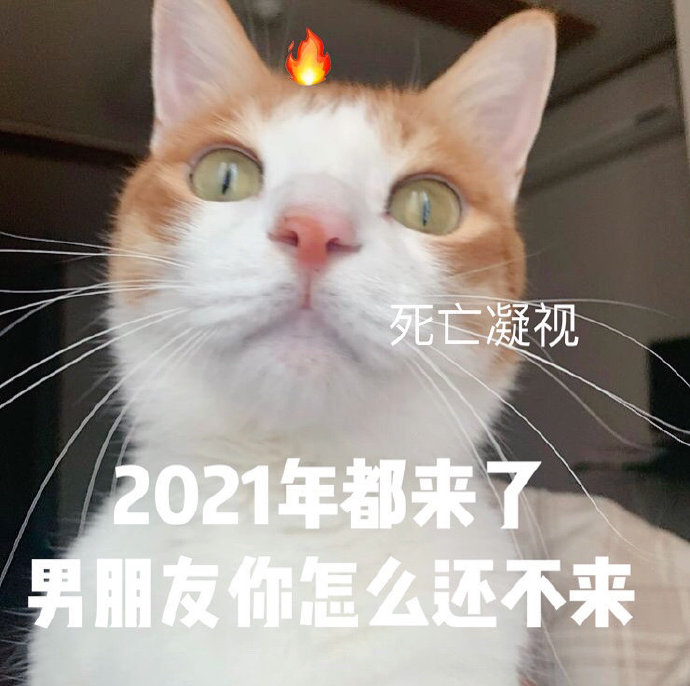 2021新一年的愿望祝愿微信表情包