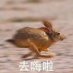 沙雕搞笑逗趣的微信表情包