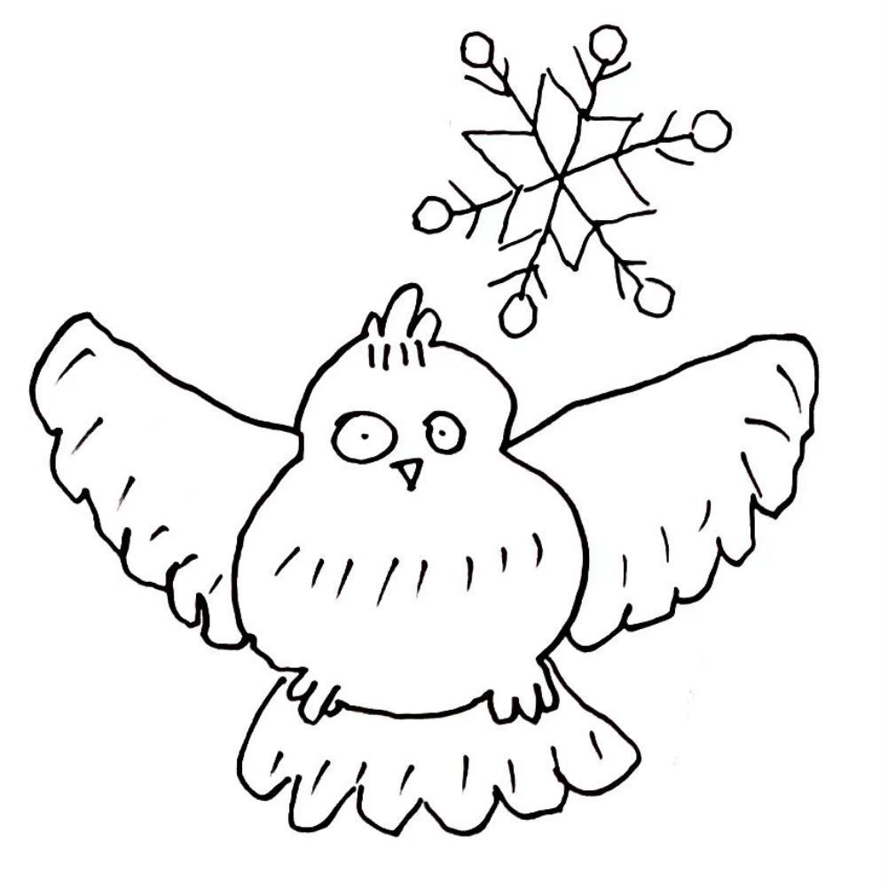 手绘猫头鹰可爱微信头像