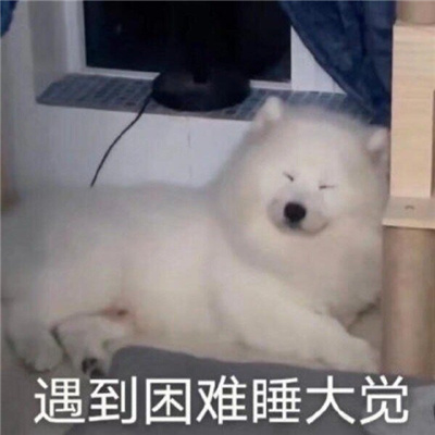 精选好用的斗图表情