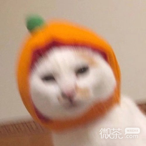 一组可爱好玩的微信头像