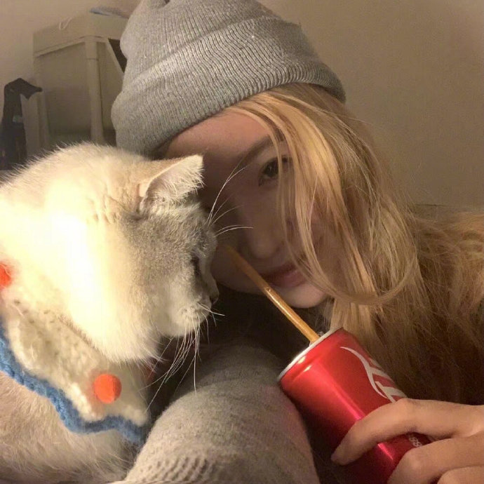 逗猫的可爱女生微信头像