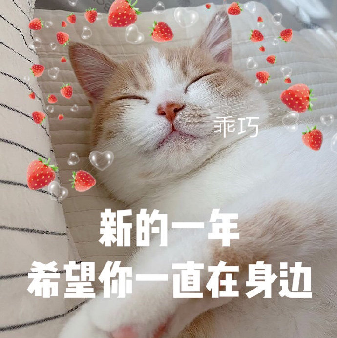 2021新一年的愿望祝愿微信表情包