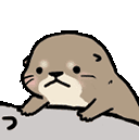 超可爱的小水獭动态微信表情包