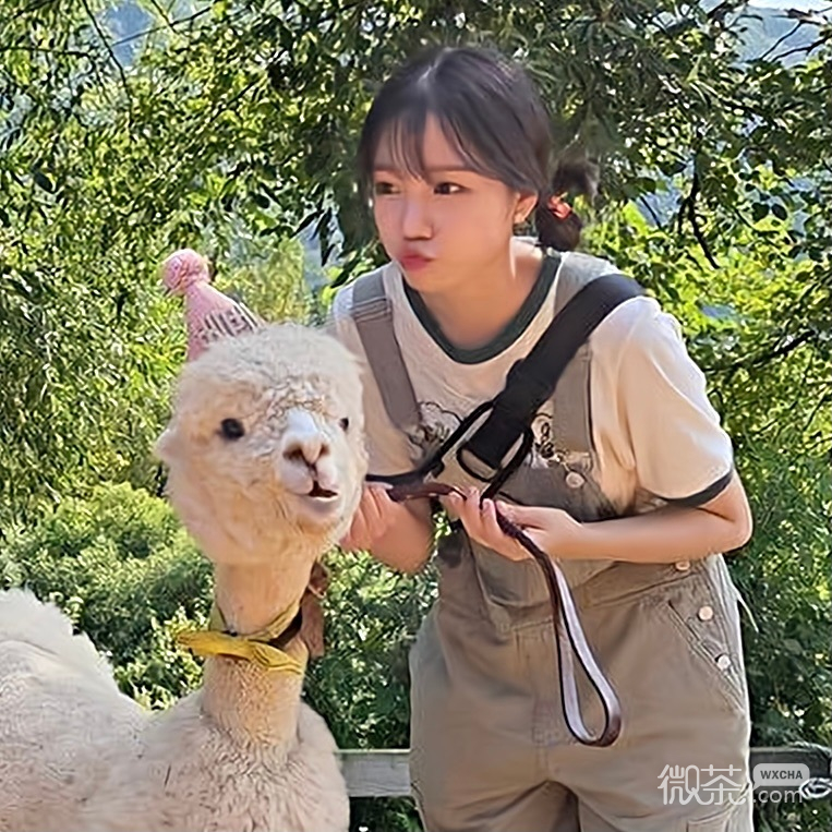曺柔理可爱微信头像