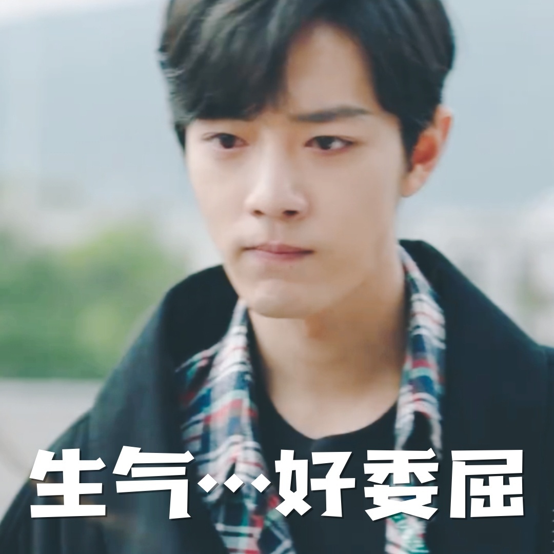 《余生请多指教》林之校顾魏微信表情包