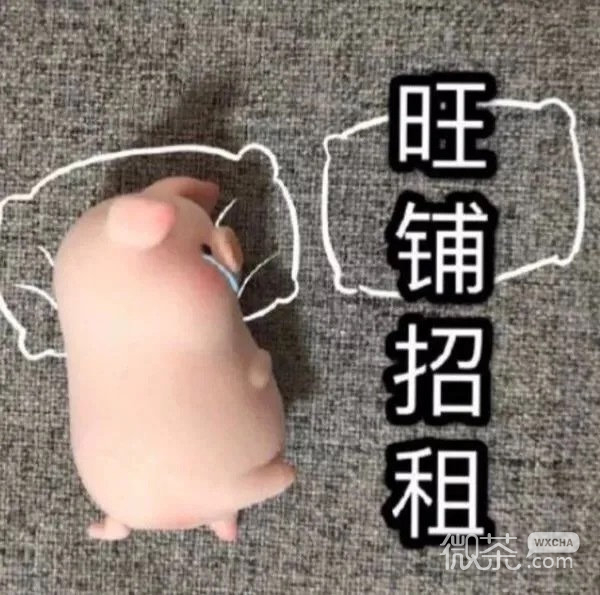玩偶猪猪搞笑微信表情包