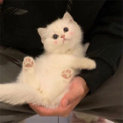 超搞怪的俏皮个性头像