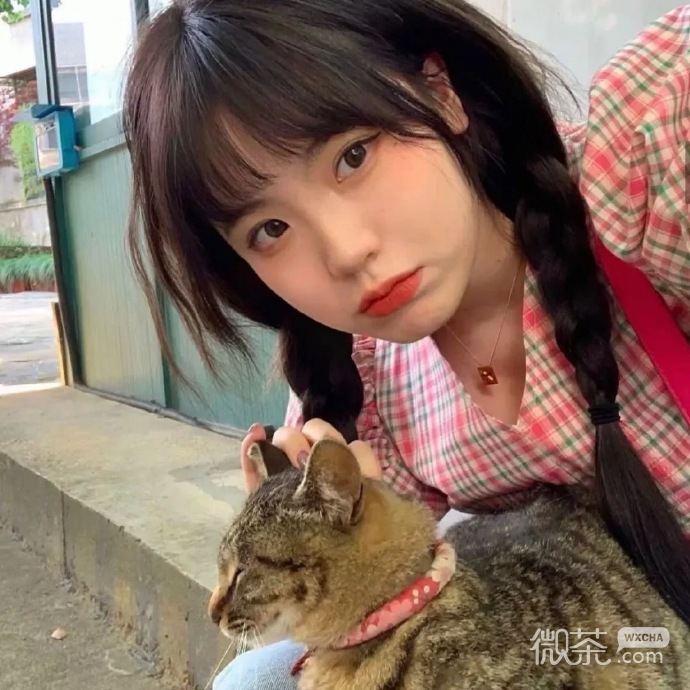 真人美女抱喵星人微信头像