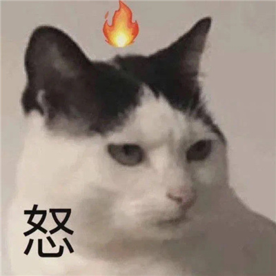 让人看了就很开心的表情