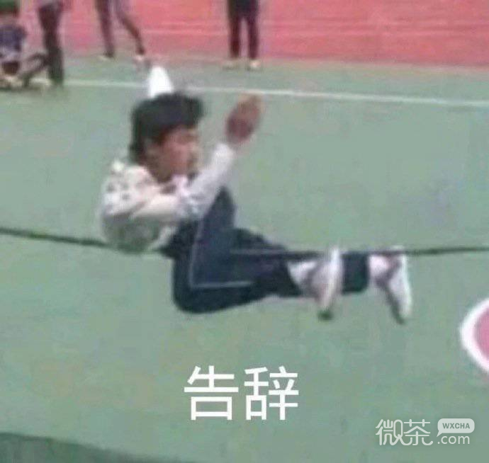 动画好玩好笑微信表情包