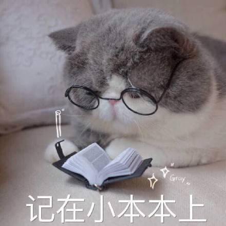 可爱的猫咪卖萌表情包