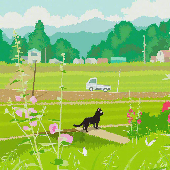 猫猫的一年四季唯美可爱素材图片