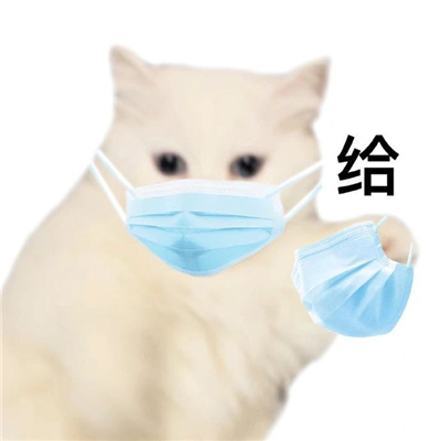 超级萌宠的小猫咪表情包