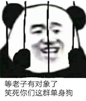 沙雕真实熊猫头微信表情包