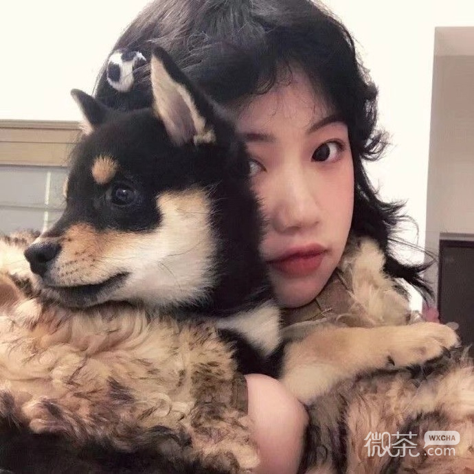 超火的高颜值美女微信头像