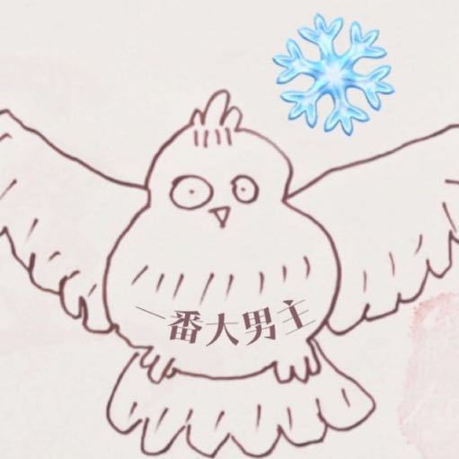 手绘猫头鹰可爱微信头像