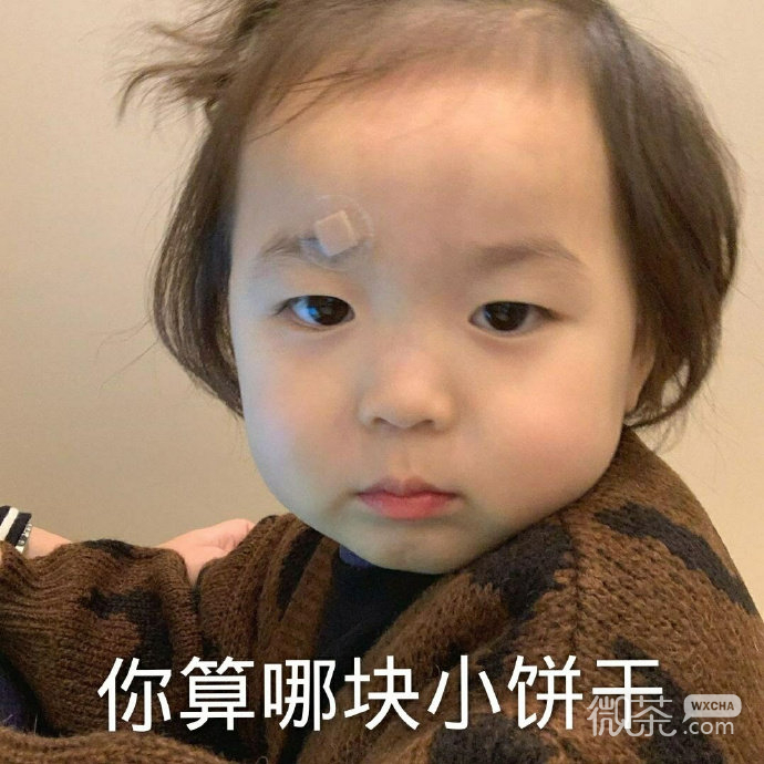 萌娃怼人可爱微信表情包