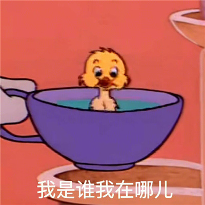 搞笑女必备表情