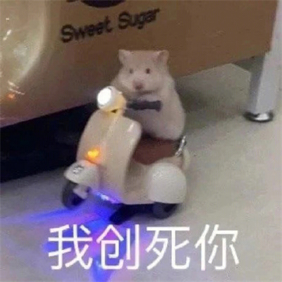 卖萌表情全新可爱