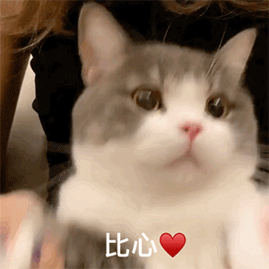 可爱喵星人动态微信表情包