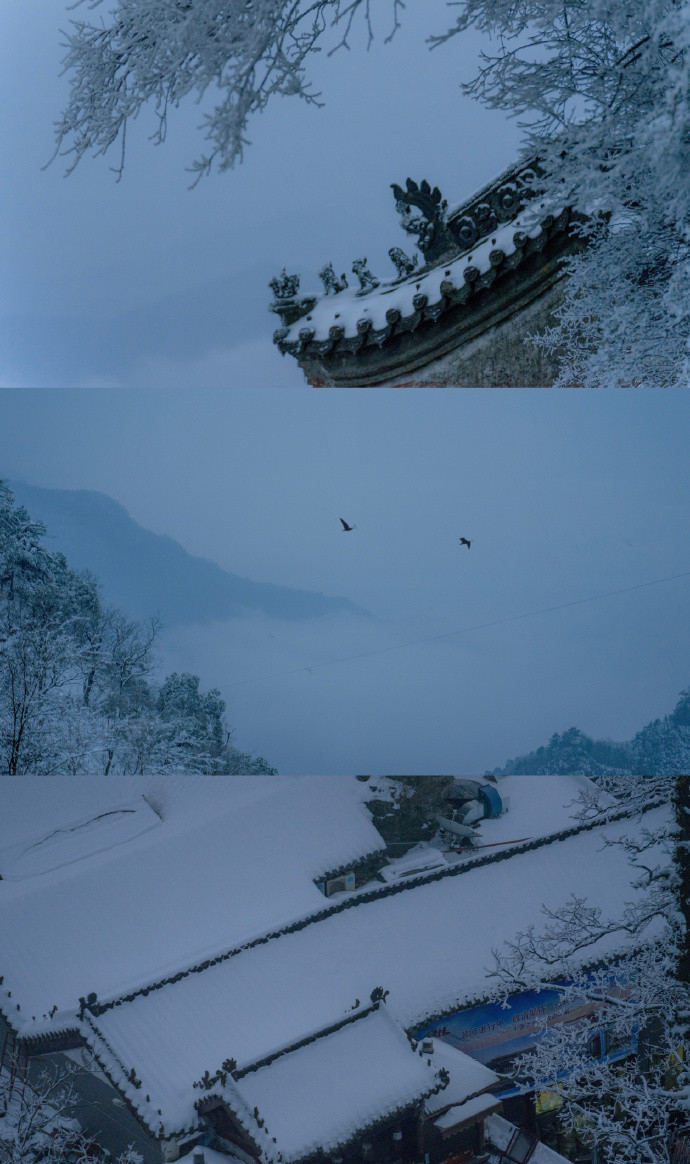 春的三屏清新聊天背景图