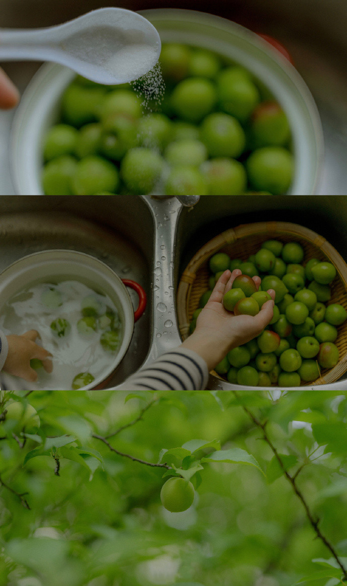 春的三屏清新聊天背景图