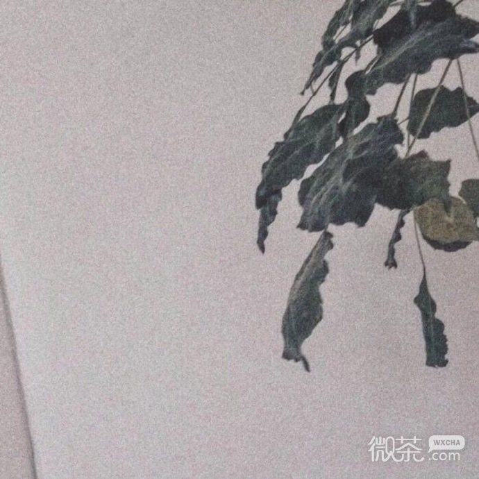 好看的唯美的微信朋友圈背景图