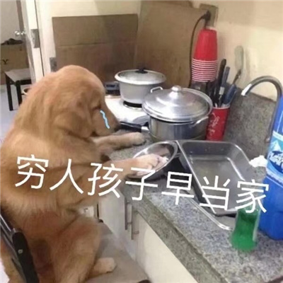 很欢乐的又搞怪的表情包