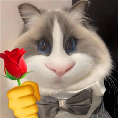 猫猫送花超萌超可爱表情包