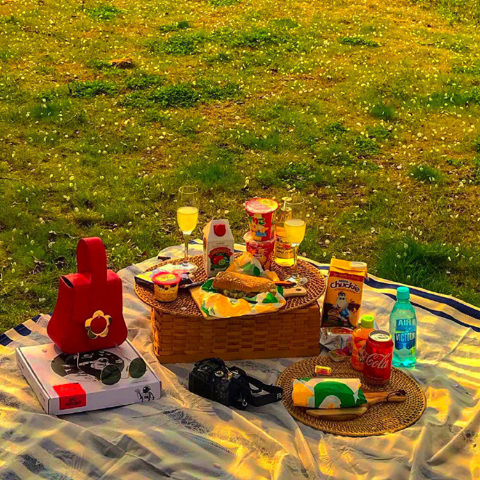 夏日郊游好看的聊天背景图