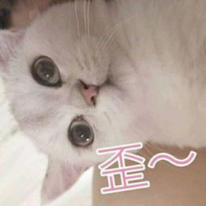 怼人耍赖小猫咪微信表情包